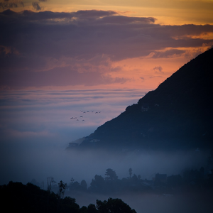 Image by stephencphotog titled ’birds, sunset, clouds’. Source: Pixabay Image by stephencphotog titled ’birds, sunset, clouds’. Source: Pixabay