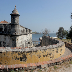 Image by Herney titled ’cartagena, nature, colombia’. Source: Pixabay Image by Herney titled ’cartagena, nature, colombia’. Source: Pixabay