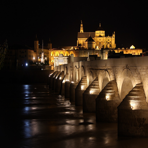 Image by 1204479 titled ’cordoba, spain, bridge’. Source: Pixabay