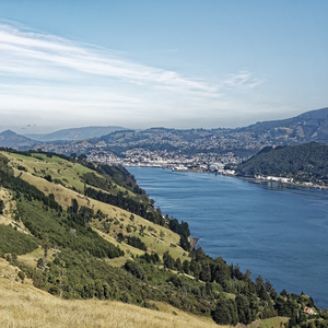 Image by Makalu titled ’new zealand, otago harbour, natural harbour’. Source: Pixabay