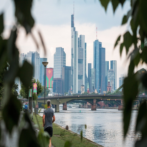 Image by mat_hias titled ’frankfurt, skyline, city’. Source: Pixabay Image by mat_hias titled ’frankfurt, skyline, city’. Source: Pixabay