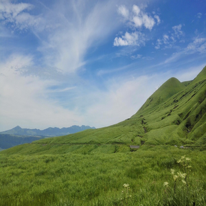Image by Jiashuh titled ’japan, fukuoka, grassland’. Source: Pixabay