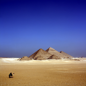 Image by Pexels titled ’camel, desert, pyramids’. Source: Pixabay