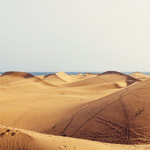 Image by summerstock titled ’dunes, wilderness, travel’. Source: Pixabay Image by summerstock titled ’dunes, wilderness, travel’. Source: Pixabay