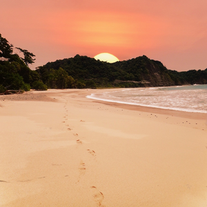 Image by Kristendawn titled ’beach, sunset, coast’. Source: Pixabay Image by Kristendawn titled ’beach, sunset, coast’. Source: Pixabay