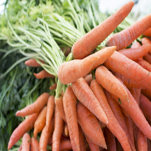 Image by Cheerfully_lost titled ’carrot, produce, grocery’. Source: Pixabay