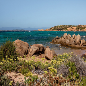 Image by Miller_Eszter titled ’la maddalena, sardinia, italy’. Source: Pixabay Image by Miller_Eszter titled ’la maddalena, sardinia, italy’. Source: Pixabay