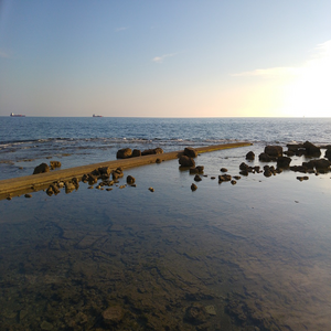 Image by GrafZeppelin1000 titled ’livorno, nature, italy’. Source: Pixabay