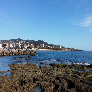 Image by jannakopulos titled ’livorno, nature, sea’. Source: Pixabay