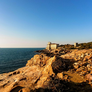 Image by loveombra titled ’castle mug, livorno, tuscany’. Source: Pixabay Image by loveombra titled ’castle mug, livorno, tuscany’. Source: Pixabay