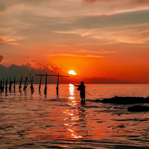 Image by Diz_Daily titled ’sunset, indonesia, beach’. Source: Pixabay