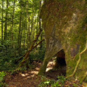 Image by ArtTower titled ’cave, cathedral, manaus’. Source: Pixabay