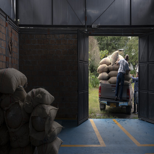 Image by HunterProducciones titled ’farming, colombian coffee, colombia’. Source: Pixabay