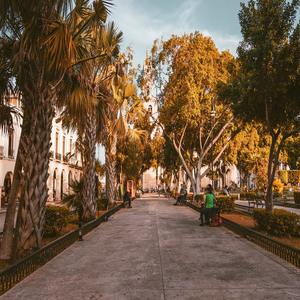 Image by mike_ramirez_mx titled ’pathway, park, merida’. Source: Pixabay