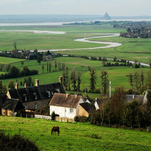 Image by Larneg titled ’village, farms, horse’. Source: Pixabay