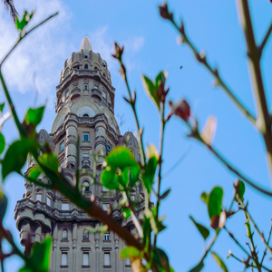 Image by hernansuarez28 titled ’uruguay, montevideo, palace’. Source: Pixabay