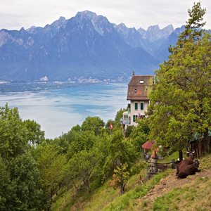 Image by duschenhocker titled ’switzerland, alps, montreux’. Source: Pixabay