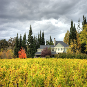 Image by PeterBowers titled ’napa valley, duckhorn, vineyard’. Source: Pixabay