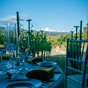 Image by bedrck titled ’wine, napa valley, vineyard’. Source: Pixabay
