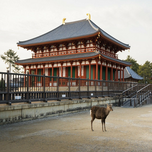 Image by pen_ash titled ’kohfukuji temple, buddhist temple, temple’. Source: Pixabay Image by pen_ash titled ’kohfukuji temple, buddhist temple, temple’. Source: Pixabay
