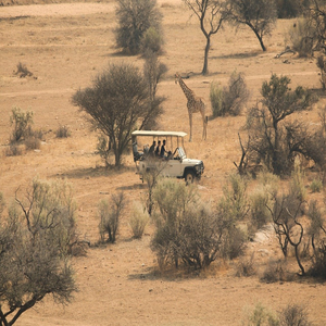 Image by Daniele_K titled ’savannah, africa, safari’. Source: Pixabay