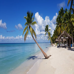 Image by MBaum1971 titled ’beach, palm trees, sea’. Source: Pixabay