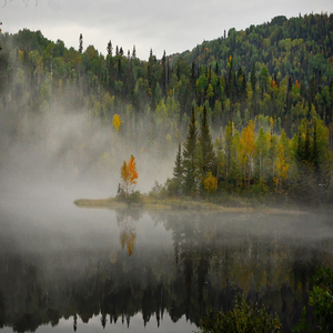 Image by AlainAudet titled ’landscape, nature, fog’. Source: Pixabay Image by AlainAudet titled ’landscape, nature, fog’. Source: Pixabay