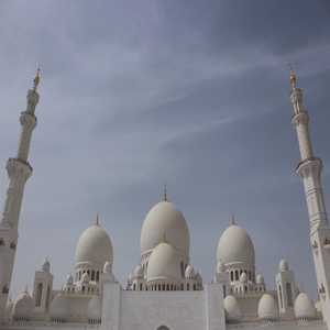 Image by PhilGONDAS titled ’minaret, dome, religion’. Source: Pixabay