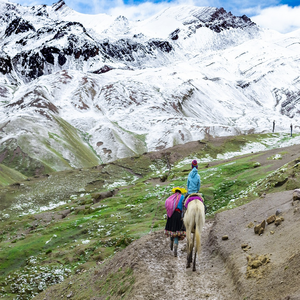 Image by KinEnriquez titled ’peru, tourism, nature’. Source: Pixabay