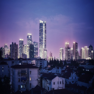 Image by Leslin_Liu titled ’shanghai, city, night’. Source: Pixabay