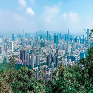 Image by Charlottees titled ’shenzhen, city, nature’. Source: Pixabay