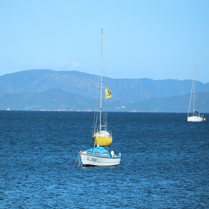 Image by Kailton titled ’hyères, toulon, france’. Source: Pixabay