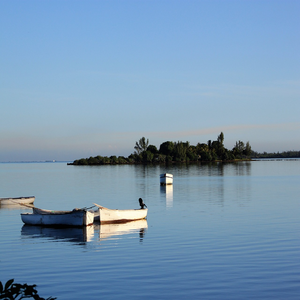 Image by smcjanvier18 titled ’sea, boats, view’. Source: Pixabay