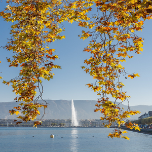 Image by ChiemSeherin titled ’geneva, jet d’eau, nature’. Source: Pixabay