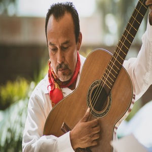 Image by CatySalcedo titled ’guitar, mexico, musician’. Source: Pixabay