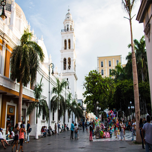 Image by velaosmar titled ’mexico, veracruz, nature’. Source: Pixabay