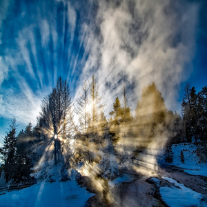 Image by 12019 titled ’sunlight, fog, winter’. Source: Pixabay Image by 12019 titled ’sunlight, fog, winter’. Source: Pixabay