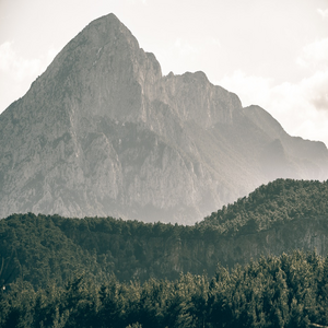 Image by AysglAlp titled ’tree, forest, mountains’. Source: Pixabay