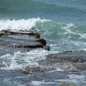 Image by dafnawexler titled ’seashore, haifa, israel’. Source: Pixabay Image by dafnawexler titled ’seashore, haifa, israel’. Source: Pixabay